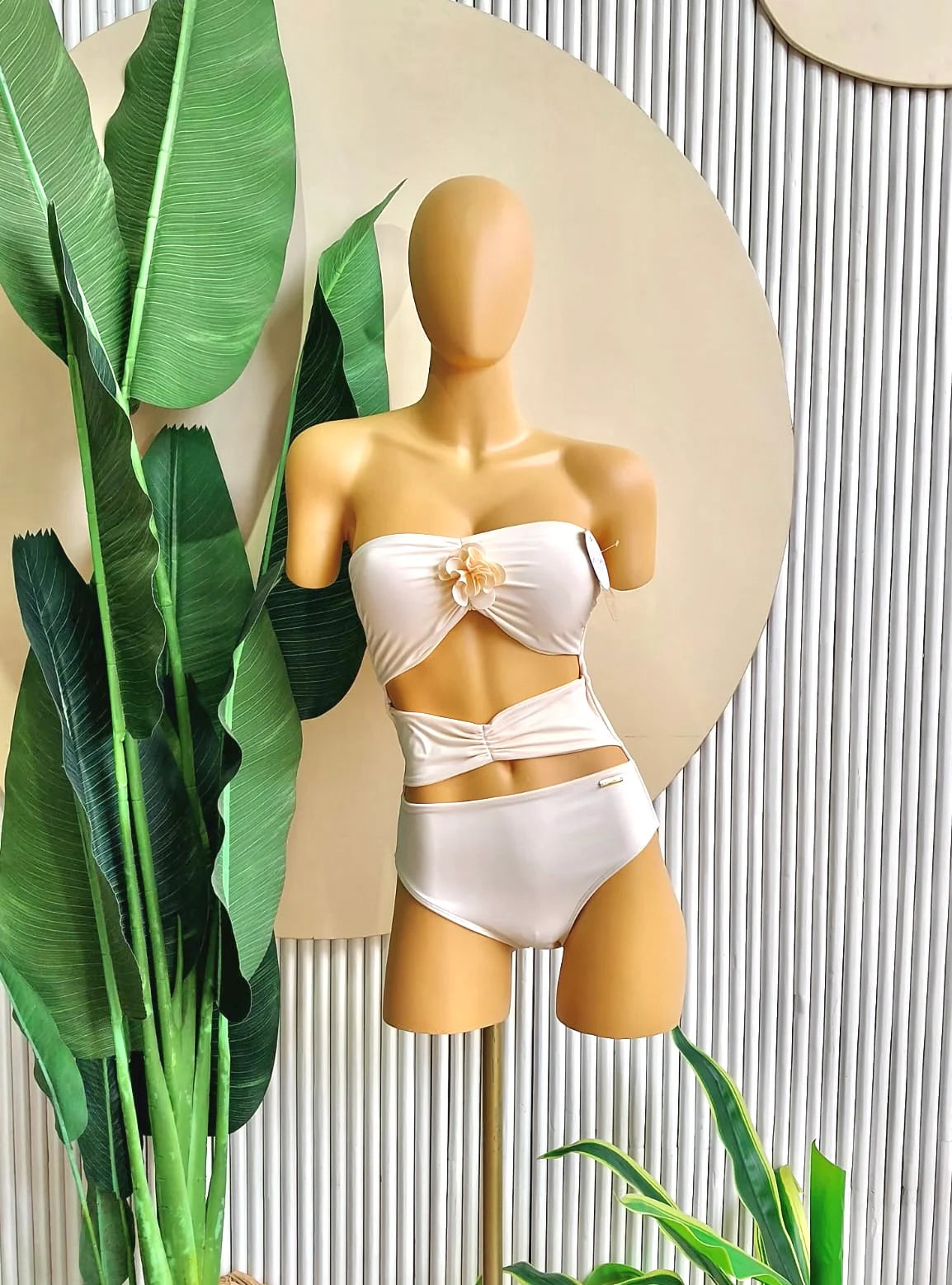 ENTERO PLAYA DEL CARMEN